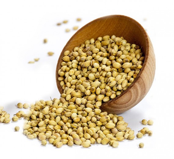 coriander